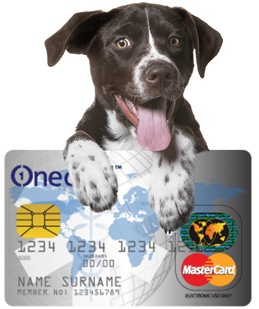 onecard-image